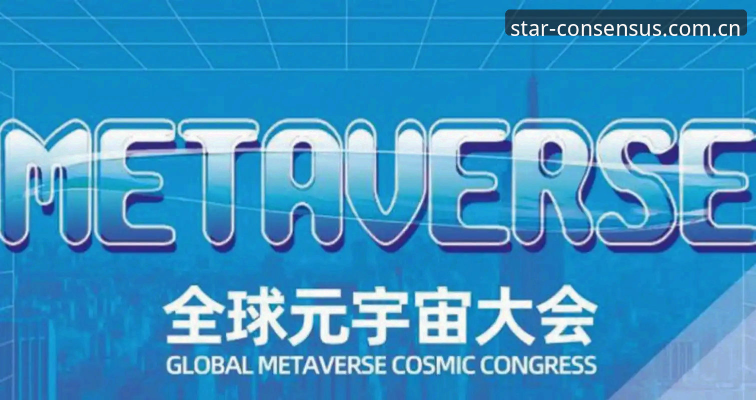 星空体育平台中国区官方站标共识版APK包深度评测：从数据看新旧版本的代差
